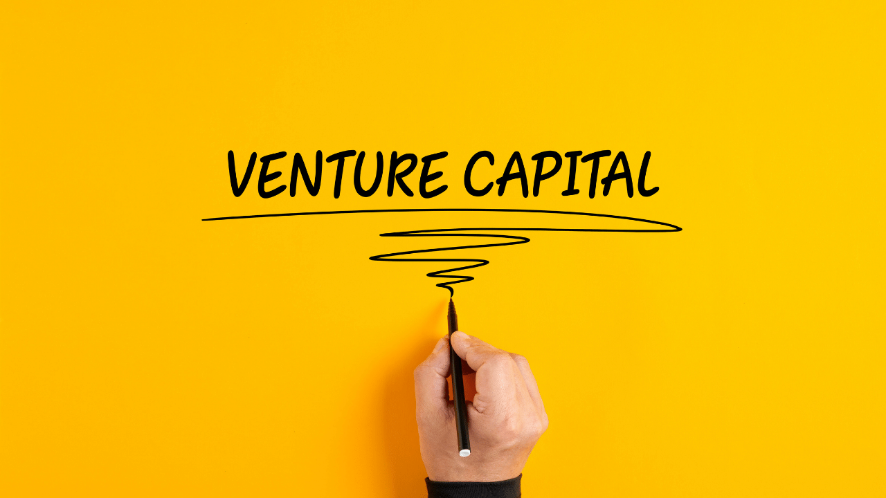 Venture Debt vs. Equity Funding: Which Is Right for Your Startup?