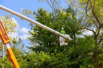 Stokes Tree Solutions: Comprehensive Tree Care And Management